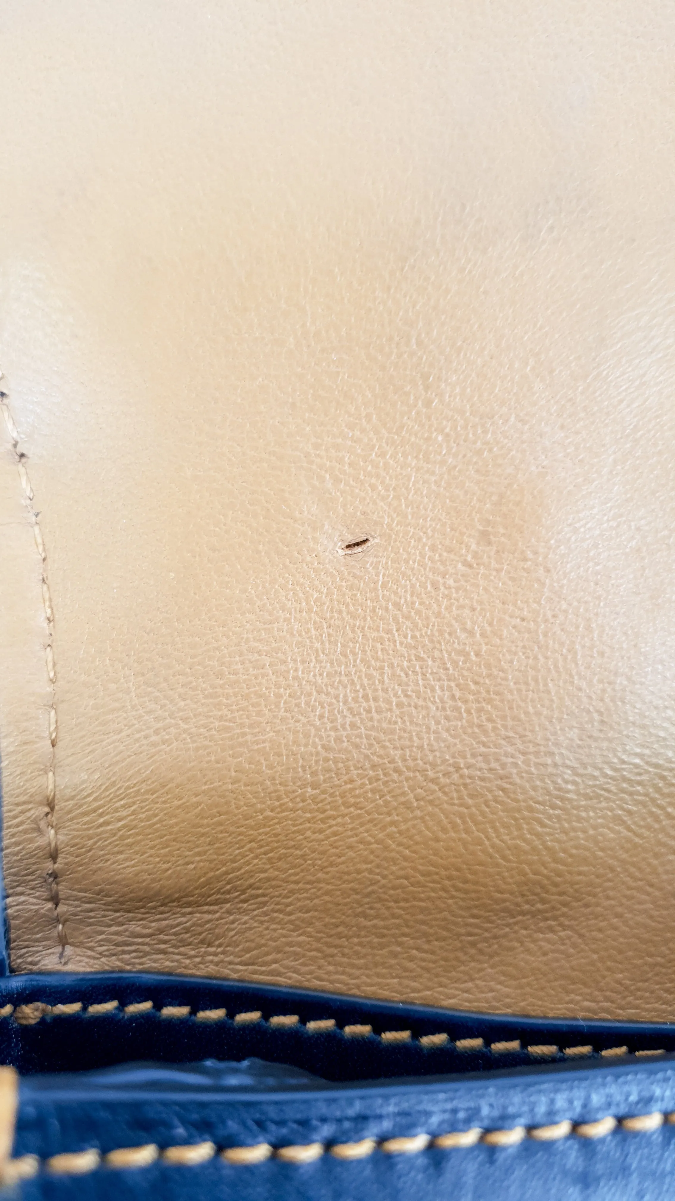 Coach 1941 Saddle 17 Bag with Western Rivets in Black - Crossbody Flap Bag - Coach F56564